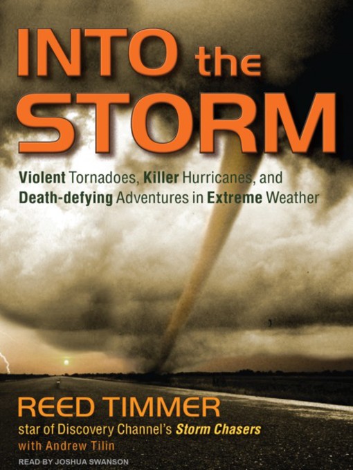 Title details for Into the Storm by Andrew Tilin - Wait list
